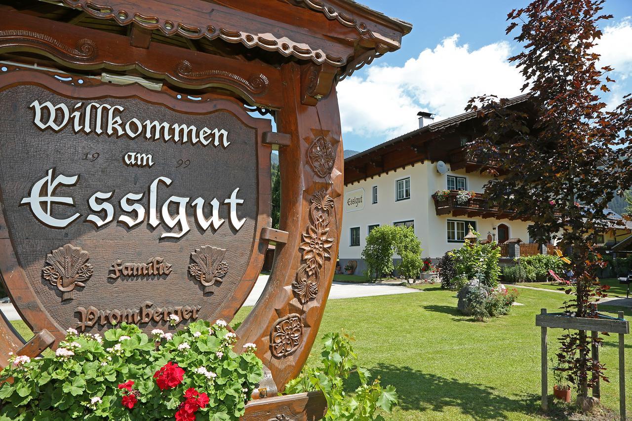 Appartments Am Esslgut Haus im Ennstal Buitenkant foto